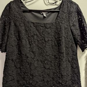 The Limited Petite Lace Top